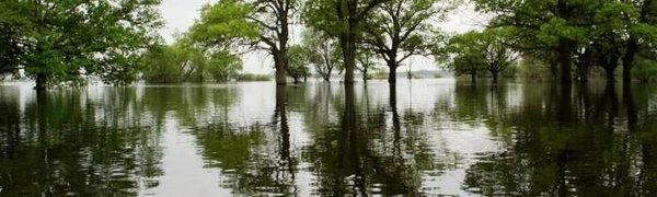 В Приморье наблюдается интенсивный подъём воды в реках с разливами и затоплениями