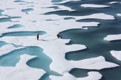 Морской лёд повинен в холодных зимах