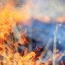 34 лесных пожара потушили в Приморье за сутки