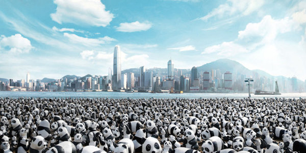 1600 искусственных панд прилетели в Гонконг