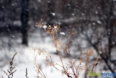 Под аккомпанемент метелей в Приморье приходит зима