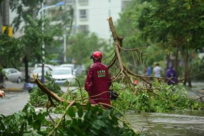 Тайфун «Сарика» обрушился на Южный Китай