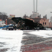 Во Владивостоке упала главная новогодняя елка