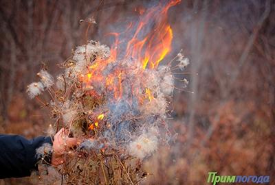 Правительство России запретило выжигать сухую траву