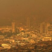 В Чили горит около 2 тысяч гектаров леса (ФОТО)