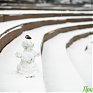 Зимний циклон принес во Владивосток до 3 мм снега