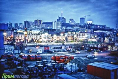 Чем дышал Владивосток с 10 по 19 ноября?