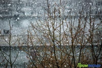 Снег с дождем пройдет в Приморье в выходные дни