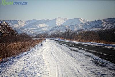 Приморский край стал одним из лучших российских регионов по экологическому отдыху