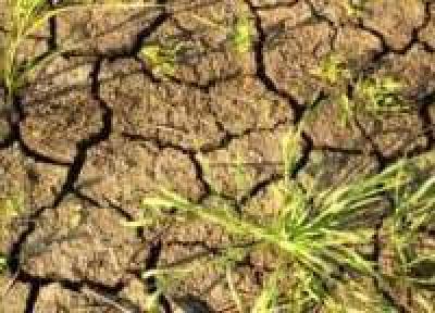 Рекордная засуха в Китае оставила без воды 240 тысяч