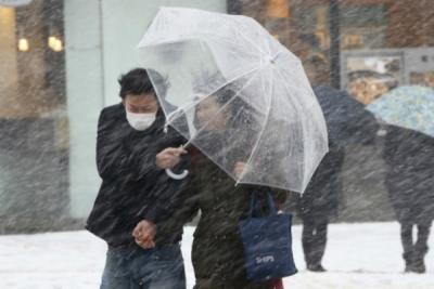 Снегопад в Японии обесточил 4000 домов (ВИДЕО)