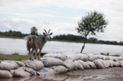 Возникновение ЧС ожидается в Хабаровском крае в связи с подъем уровня воды в Амуре