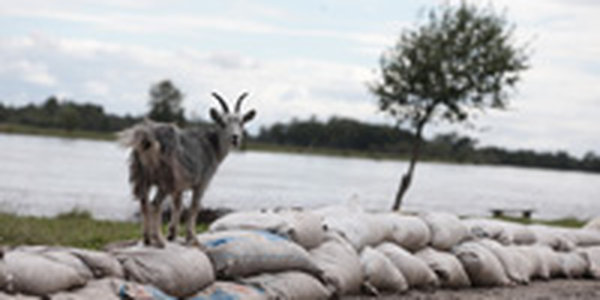 Возникновение ЧС ожидается в Хабаровском крае в связи с подъем уровня воды в Амуре