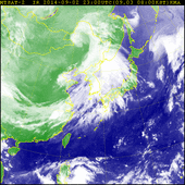Шанхайский циклон принесет ливни и ветер в южные районы Приморья