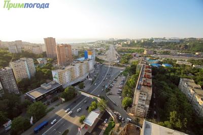 Движение по Некрасовскому путепроводу будет открыто 1 сентября