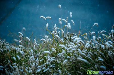 В Приморье резко похолодало и выпал снег
