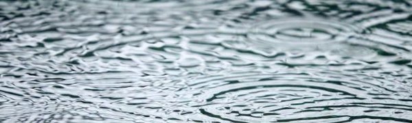 После дождей в Приморье ожидают подъём воды в реках