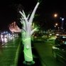 Деревья-фонари: освещают улицы и вырабатывают кислород