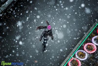 В субботу во Владивостоке может выпасть первый снег