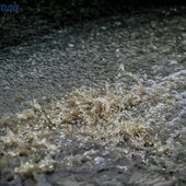 В Приморье прошли дожди, наиболее интенсивные — на юге
