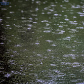 В Приморье прошли дожди, наиболее интенсивные — на юге
