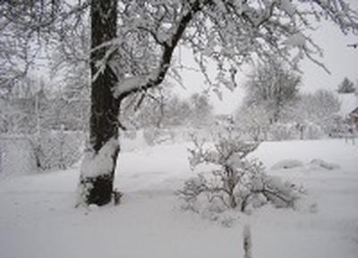 В предстоящий четверг в Приморье ожидается снег