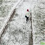 Оттепель в Приморье будет сопровождаться осадками в виде снега с дождём