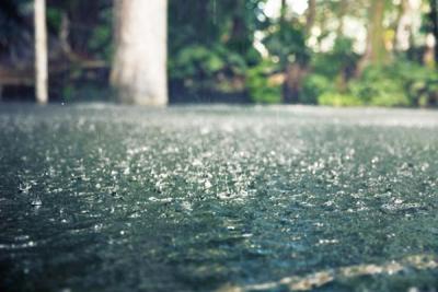 Муссонные дожди сокращаются из-за деятельности человека