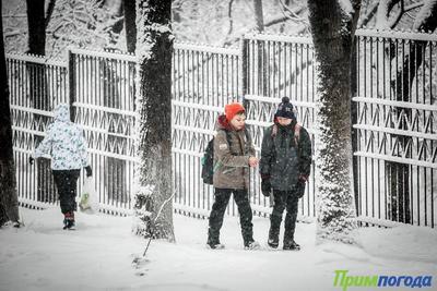 В пятницу Владивосток заметёт снегом