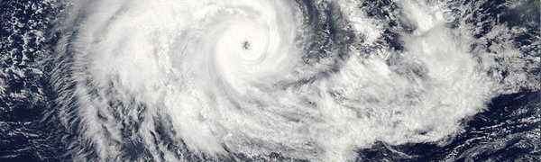 Тайфун «Маликси» добрался до Курил обычным циклоном