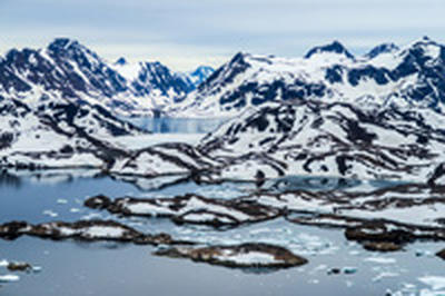 Под гренландскими льдами обнаружили тундру