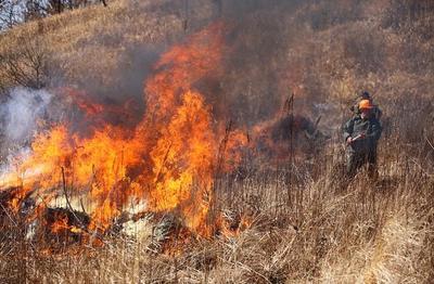 В Приморье объявлено предупреждение на 4 (высокий) класс пожарной опасности леса