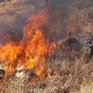 В Приморье введён «оранжевый» уровень опасности из-за лесных пожаров