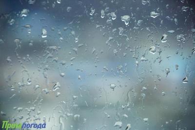 В пятницу в Приморье местами пройдут небольшие дожди