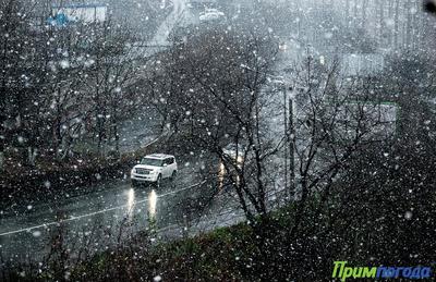 В Приморье ожидается дождь со снегом, на дорогах – скользко