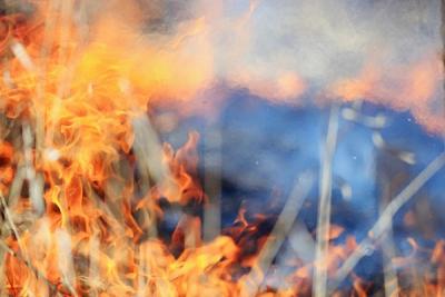 Глава Рослесхоза предложил запретить сжигание сухой травы