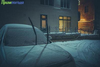 В ночь на понедельник в Приморье пройдёт небольшой и умеренный снег