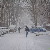 Приморье находится во власти снежного циклона