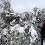 Ливан оказался под ударом снежного шторма Алекса