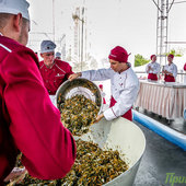Приморский салат попал в книгу рекордов России