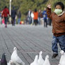 Число заболевших птичьим гриппом в Китае превысило 30 человек