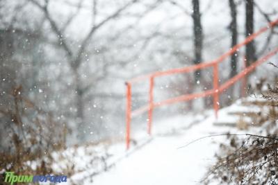 Циклон покинул Приморье, однако в крае продолжает идти снег