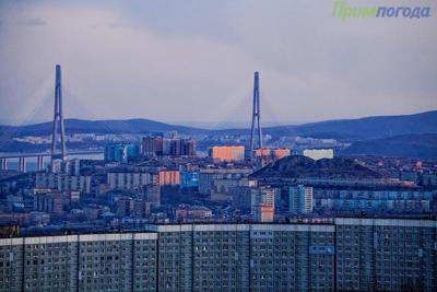 Чем дышал Владивосток с 11 по 20 марта?