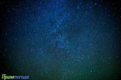 В декабре жители Приморья смогут наблюдать два звездопада