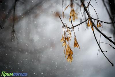 Предстоящая непогода в Приморье задержится как минимум на сутки