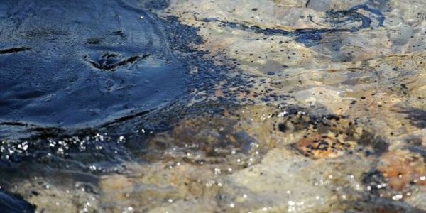 Побережье Хасанского района очистили от нефти