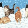 Почему коты зимой толстеют?