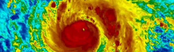 Траектория приближающегося к Приморью тайфуна «Джеби» может измениться