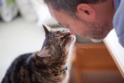 Ученые объяснили любовь кошек к одиночеству