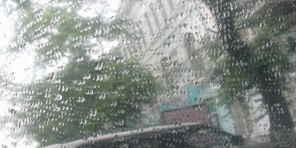 Завтра в Приморье ожидаются дожди